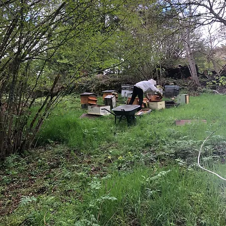 Les Renardieres - En Forez Campingplads