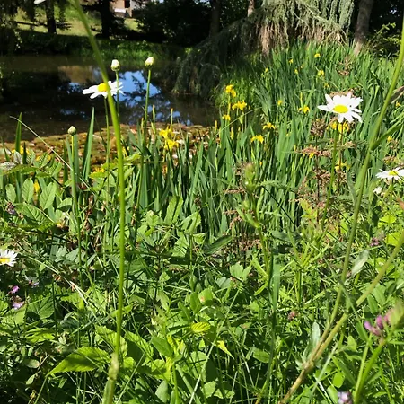 Les Renardieres - En Forez Campingplads Usson-en-Forez