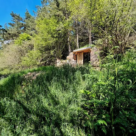 Les Renardieres - En Forez * Usson-en-Forez